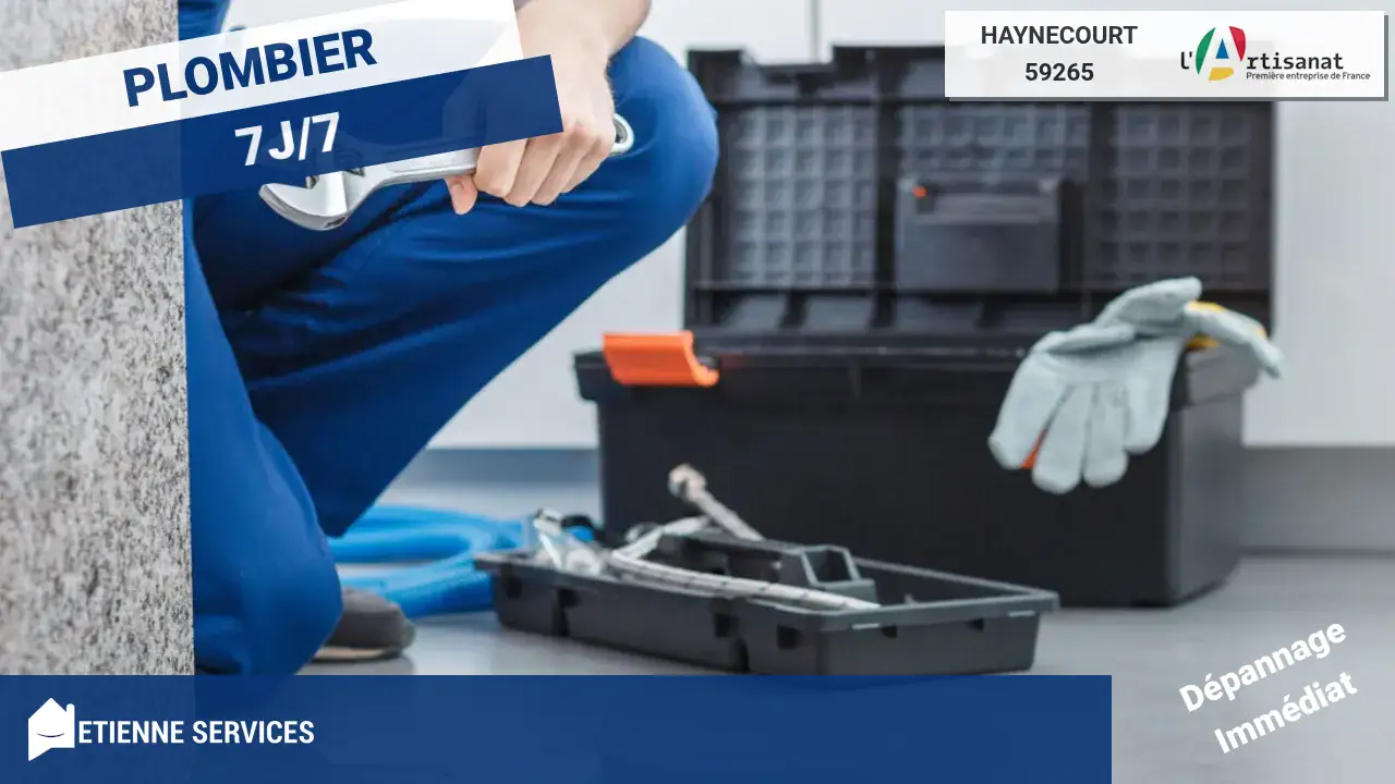 Dépannage et Installation de Plomberie : Votre Plombier à Haynecourt (59265)