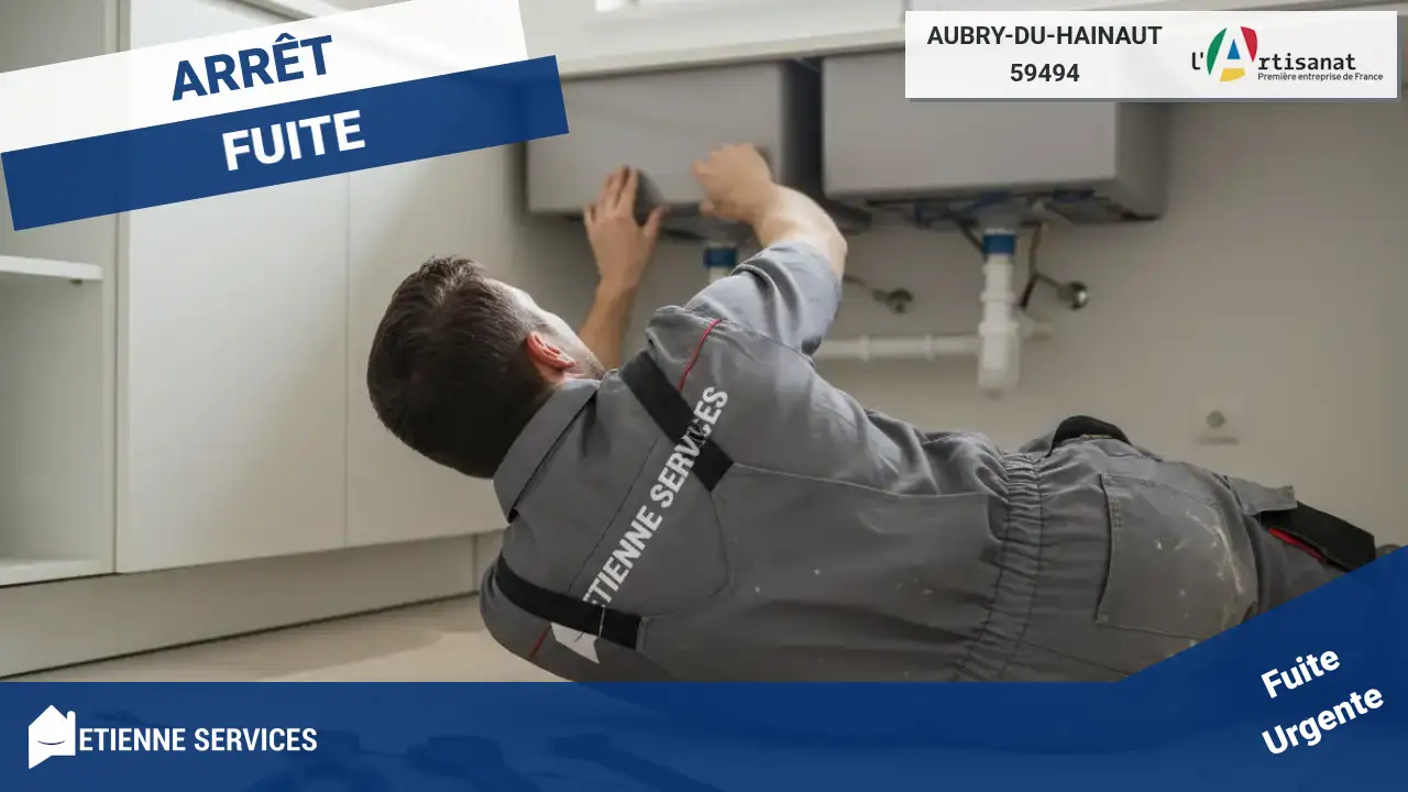 Réparation de Fuite d'Eau par votre Plombier à Aubry-du-Hainaut (59494)