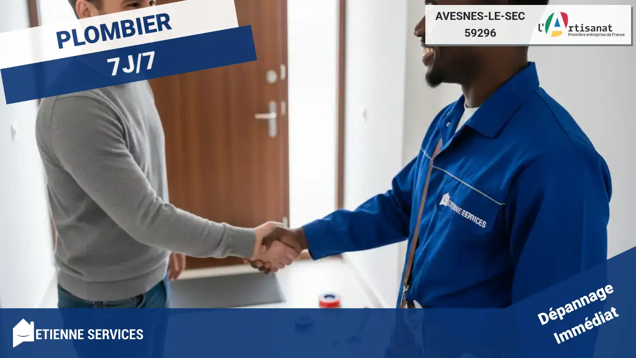 Dépannage et Installation : Votre Plombier Expert à Avesnes-le-Sec (59296)