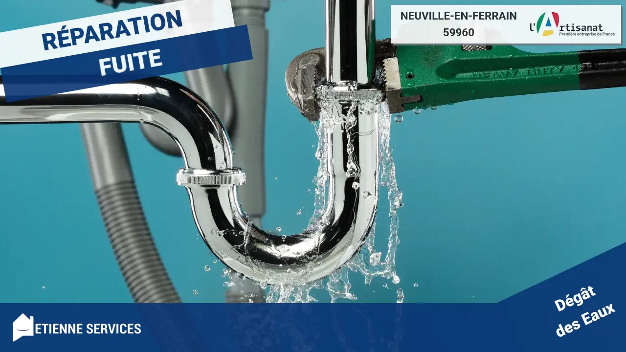Réparation de Fuite d'Eau Urgente par votre Plombier à Neuville-en-Ferrain (59960)
