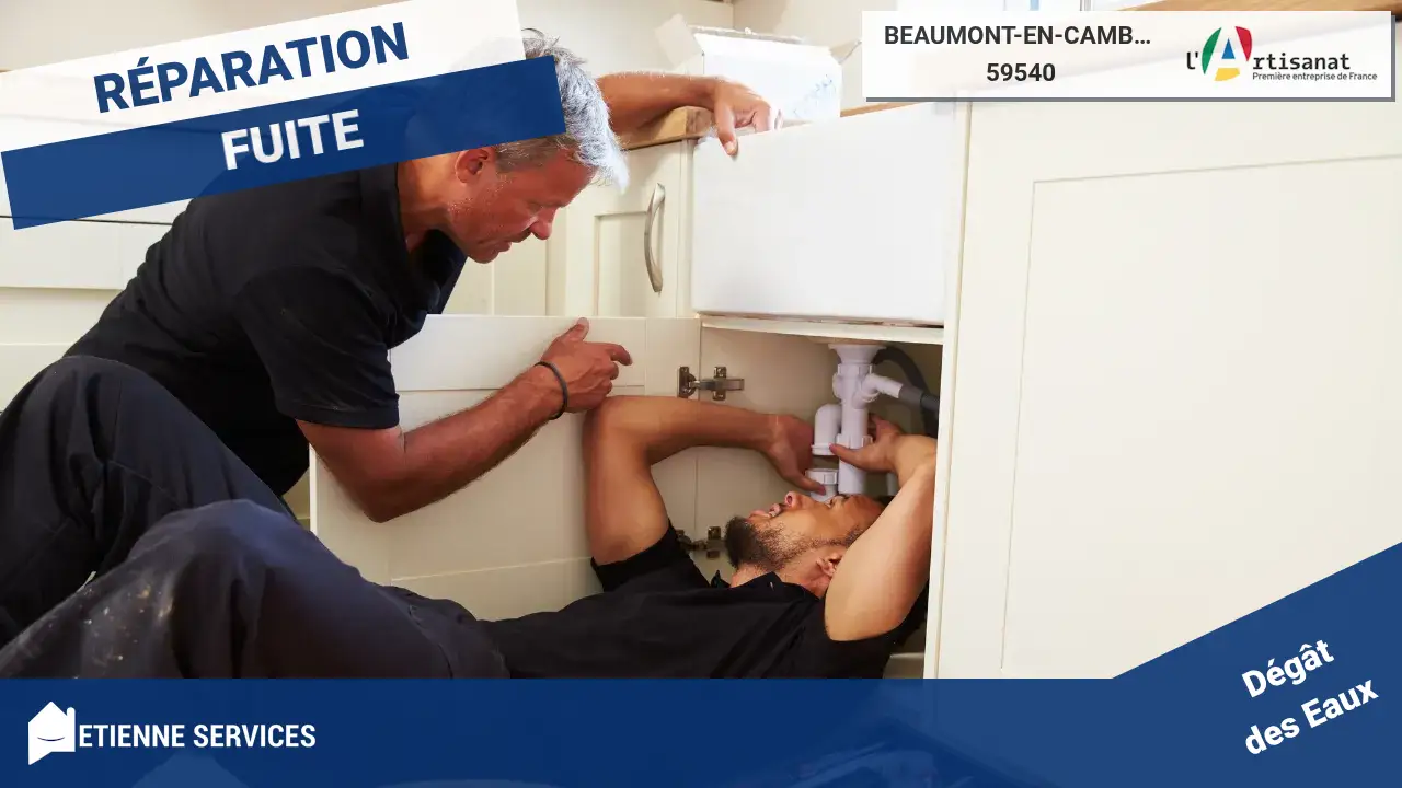 Réparation de Fuite d'Eau Rapide par un Plombier à Beaumont-en-Cambrésis