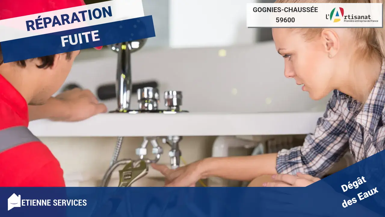 Réparation de Fuite d'Eau par un Plombier Expert à Gognies-Chaussée (59600)