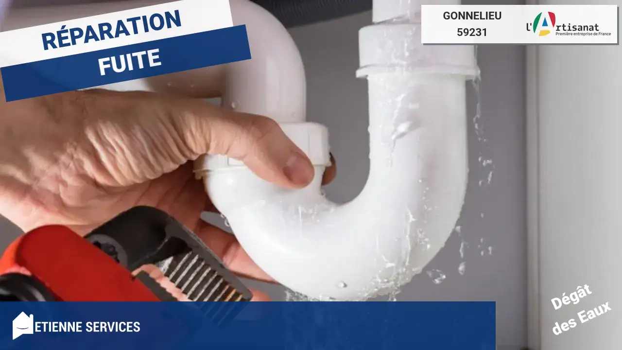 Réparation de fuite d'eau rapide et efficace par votre plombier à Gonnelieu (59231)