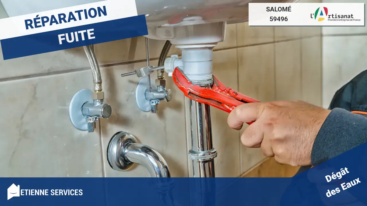 Réparation de Fuite d'Eau par notre Plombier à Salomé (59496)