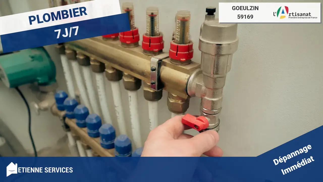 Dépannage et Installation : votre Plombier Expert à Goeulzin (59169)