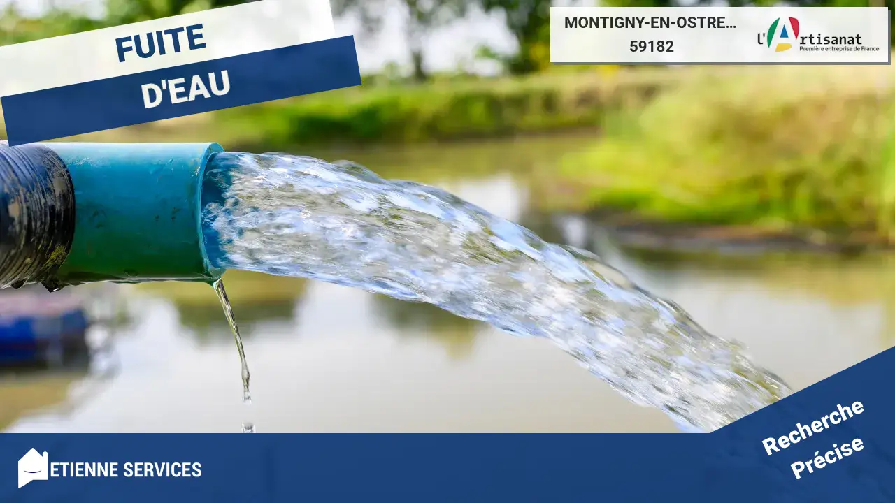 Réparation Rapide de Fuite d'Eau par votre Plombier à Montigny-en-Ostrevent