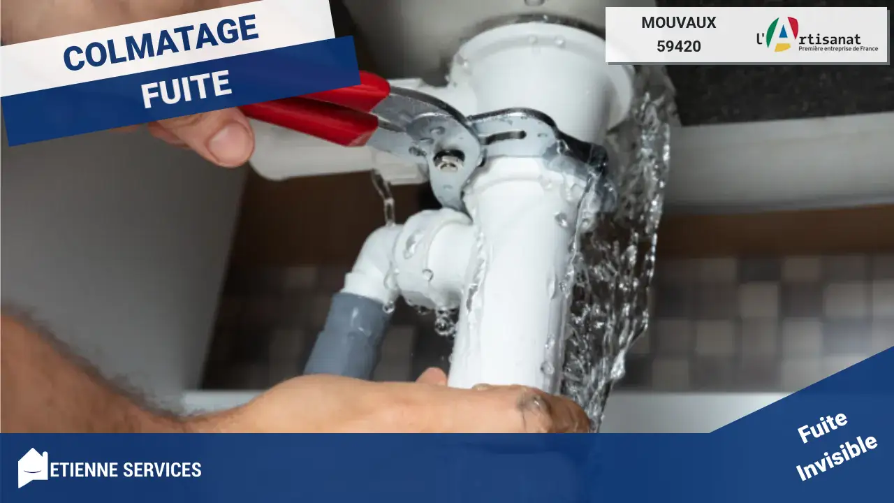 Réparation de Fuite d'Eau Rapide par votre Plombier à Mouvaux