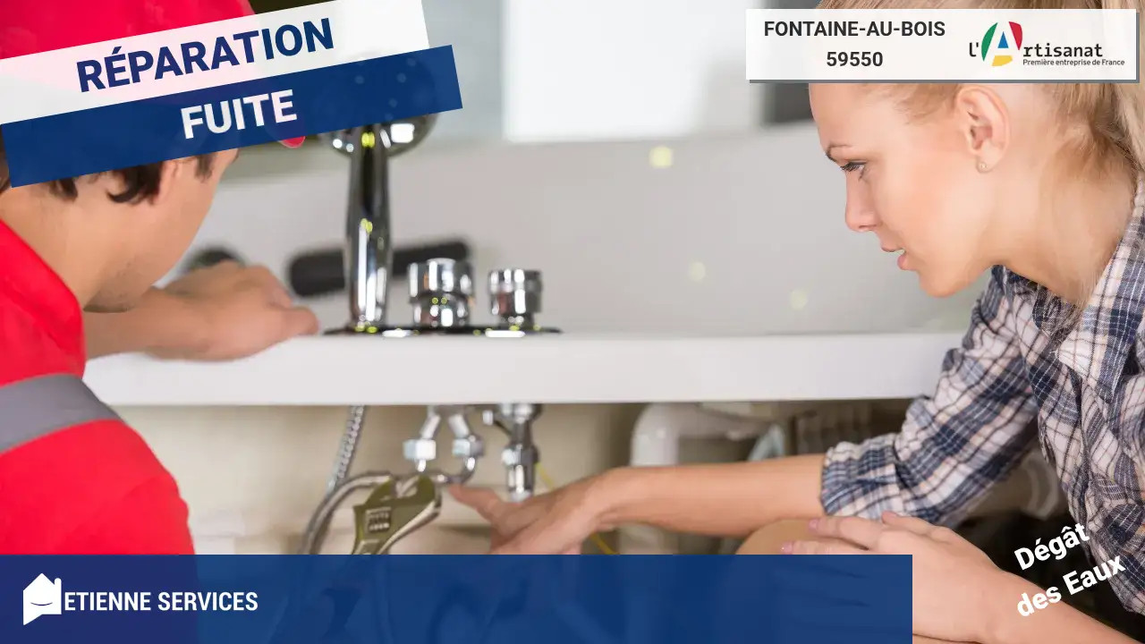 Réparation de Fuite d'Eau par un Plombier Expert à Fontaine-au-Bois