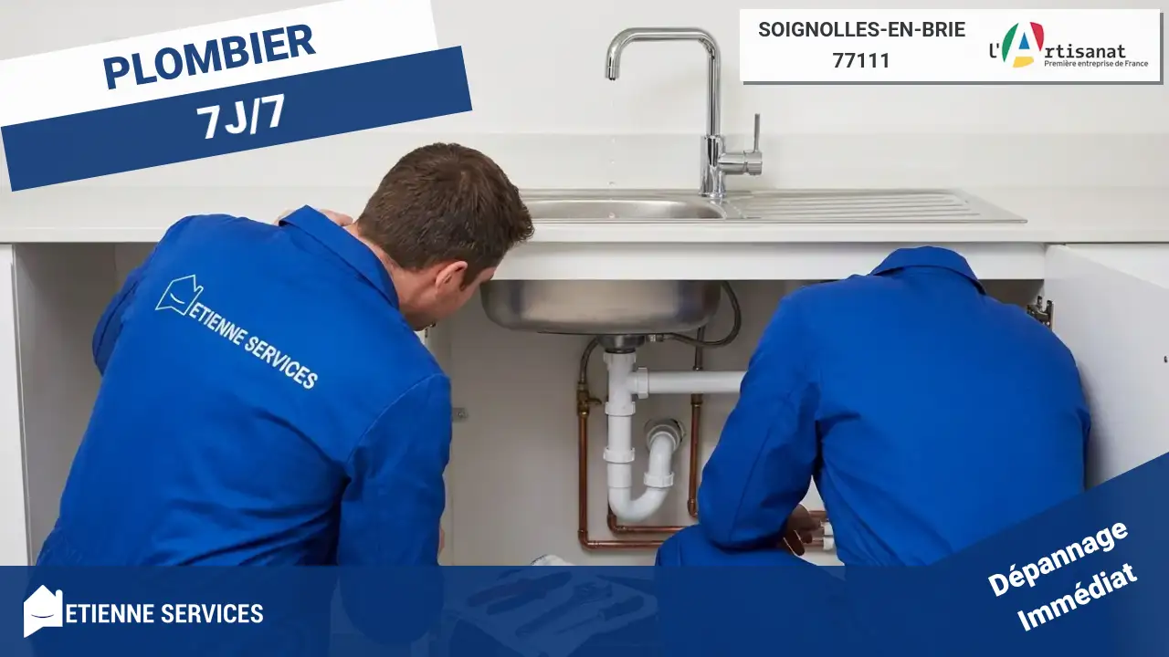 Nos Experts en Dépannage et Installation de Plomberie à Soignolles-en-Brie