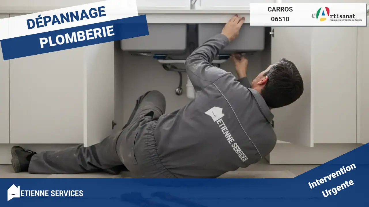 Les Meilleurs Artisans pour votre Dépannage et Installation de Plomberie à Carros