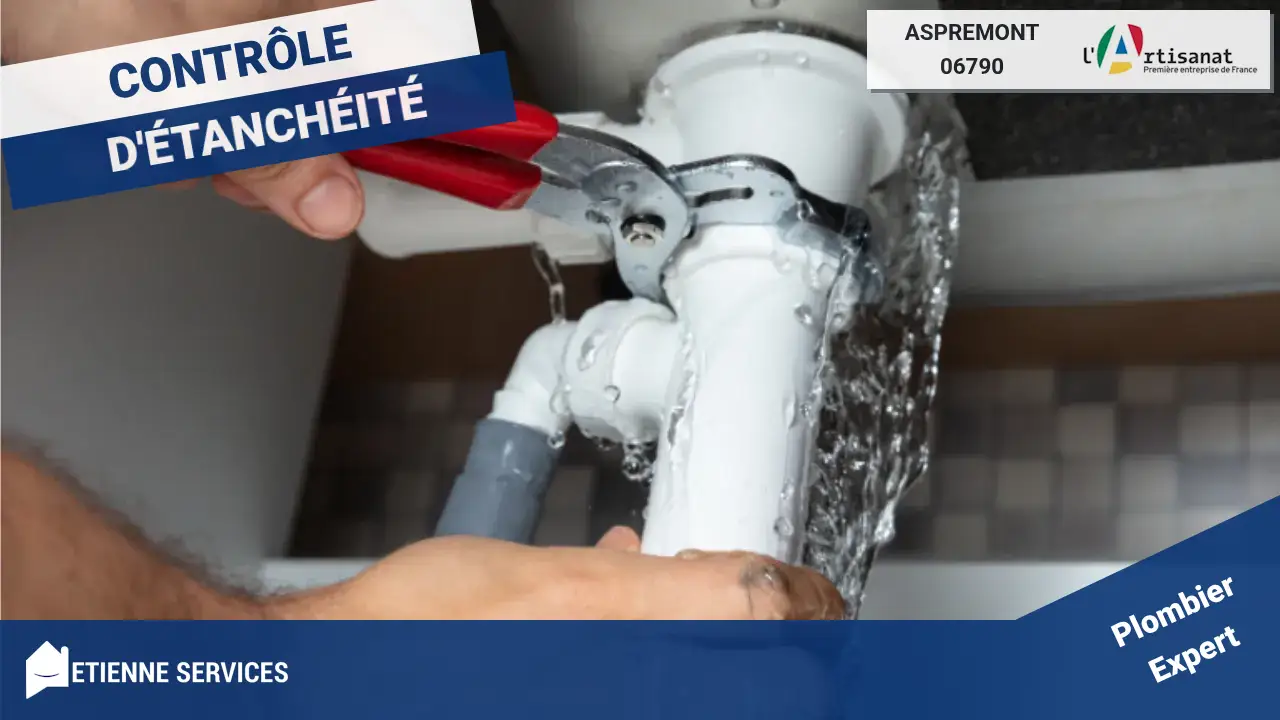 Réparation Rapide de Fuite d'eau par les Meilleurs Plombiers à Aspremont