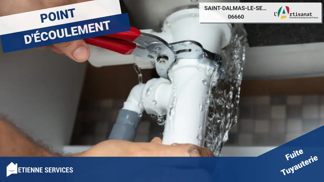 Les meilleurs spécialistes en réparation de fuite d'eau à Saint-Dalmas-le-Selvage (06660)