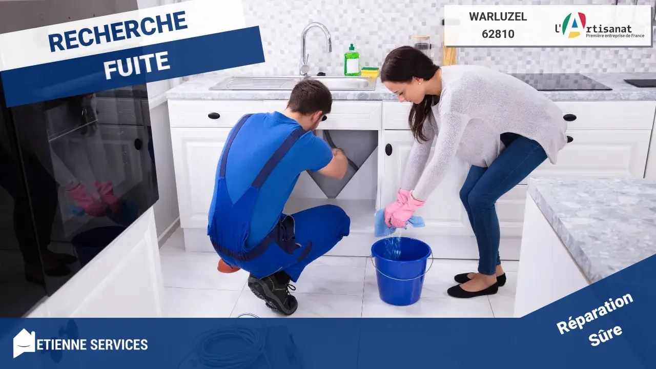 Experts en Réparation de Fuite d'Eau Rapide à Warluzel