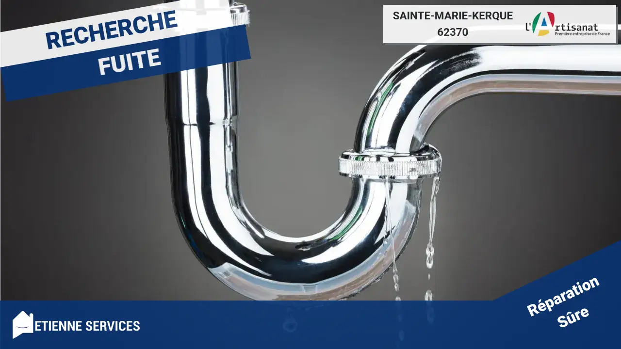 Experts Qualifiés pour la Réparation de Fuite d'Eau à Sainte-Marie-Kerque (62370)