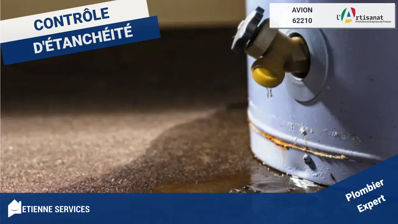 Spécialistes de la Réparation de Fuite d'Eau à Avion et Environs