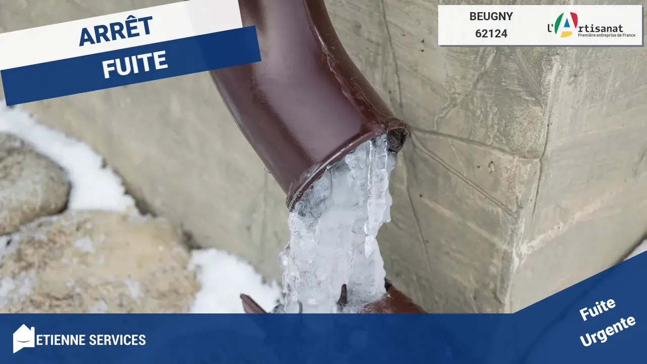 Spécialistes de la Réparation Rapide de Fuite d'Eau à Beugny