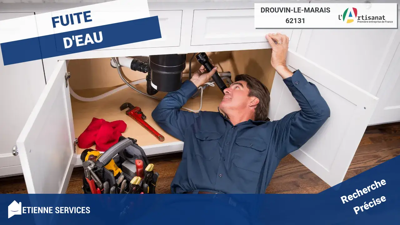 Intervention Rapide pour toute Réparation de Fuite d'eau par nos Plombiers Experts à Drouvin-le-Marais