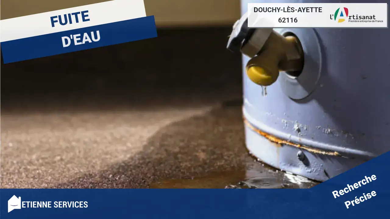 Réparation de Fuite d'Eau par des Plombiers Experts à Douchy-lès-Ayette