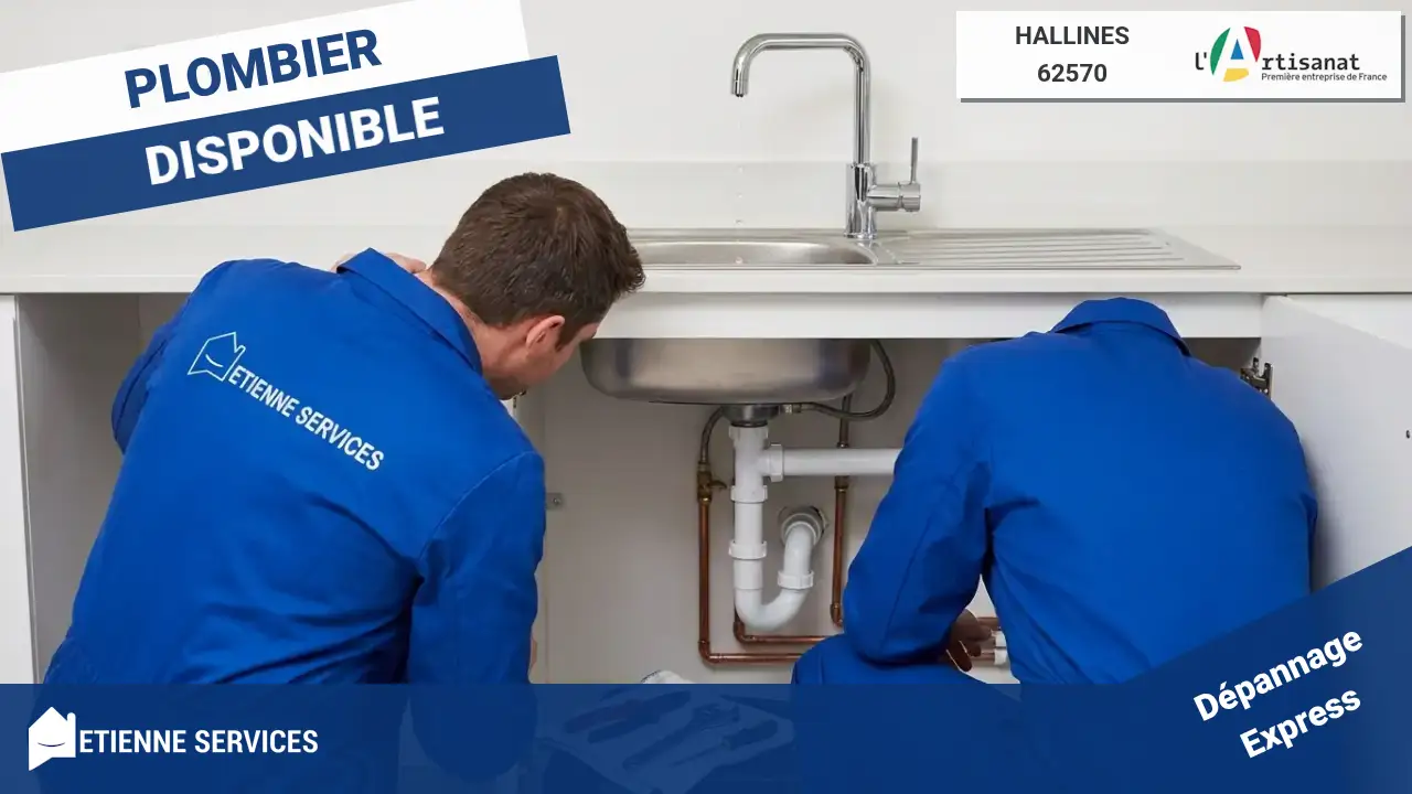 Les experts du dépannage et de l'installation plomberie à Hallines