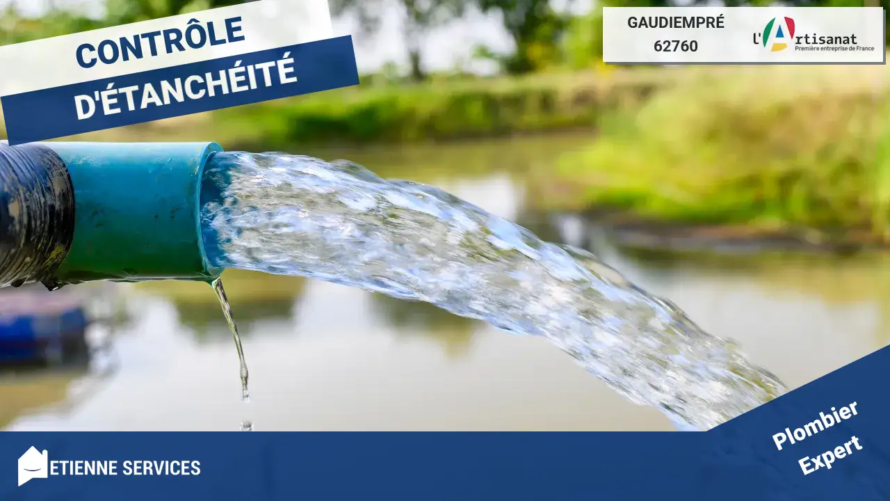 Experts en Réparation de Fuite d'Eau à Gaudiempré et Alentours