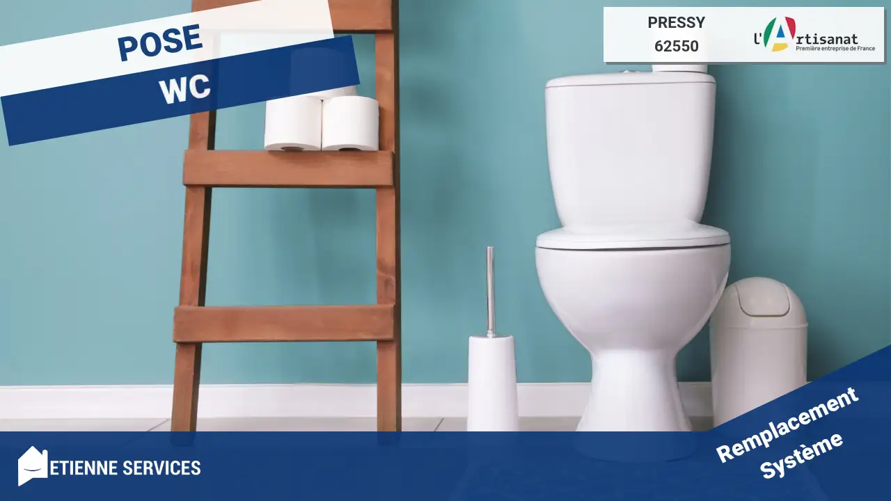Artisans Experts pour l'Installation de vos Sanitaires à Pressy
