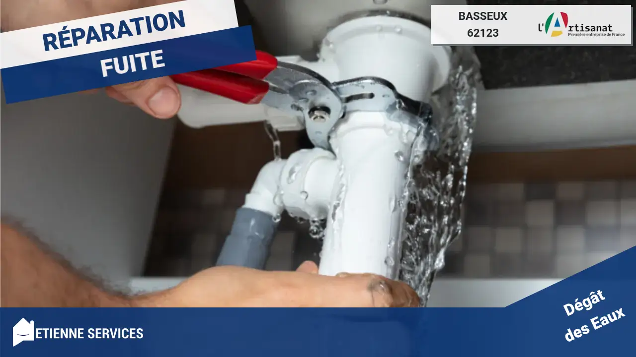 Experts en Réparation de Fuite d'eau rapide et efficace à Basseux