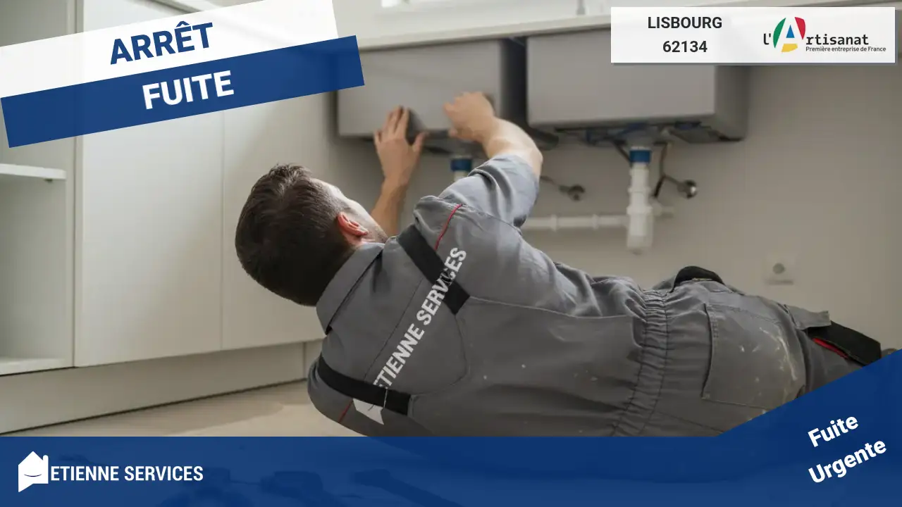 Intervention Rapide par nos Plombiers Experts en Réparation de Fuite d'eau à Lisbourg