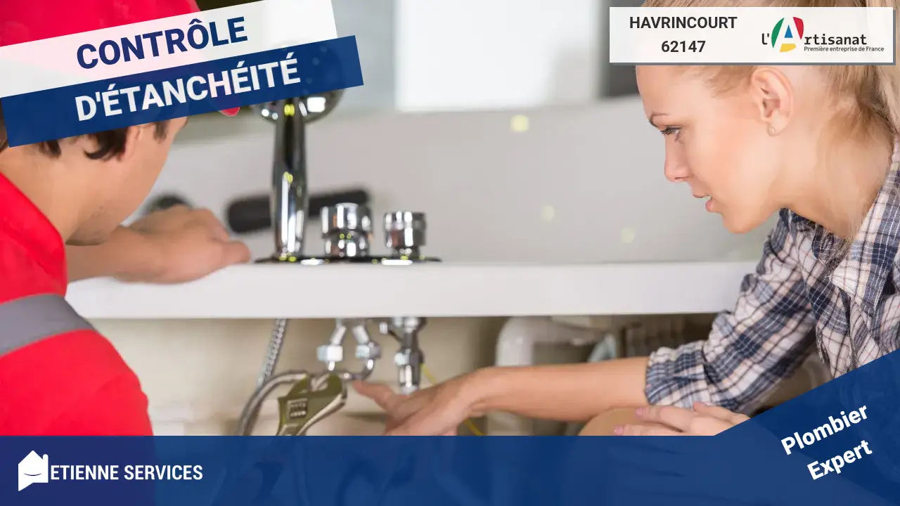 Service expert de réparation de fuite d'eau rapide et efficace à Havrincourt