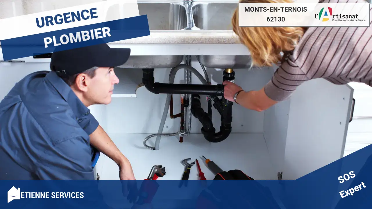 Experts en Dépannage et Installation de Plomberie à Monts-en-Ternois (62130)