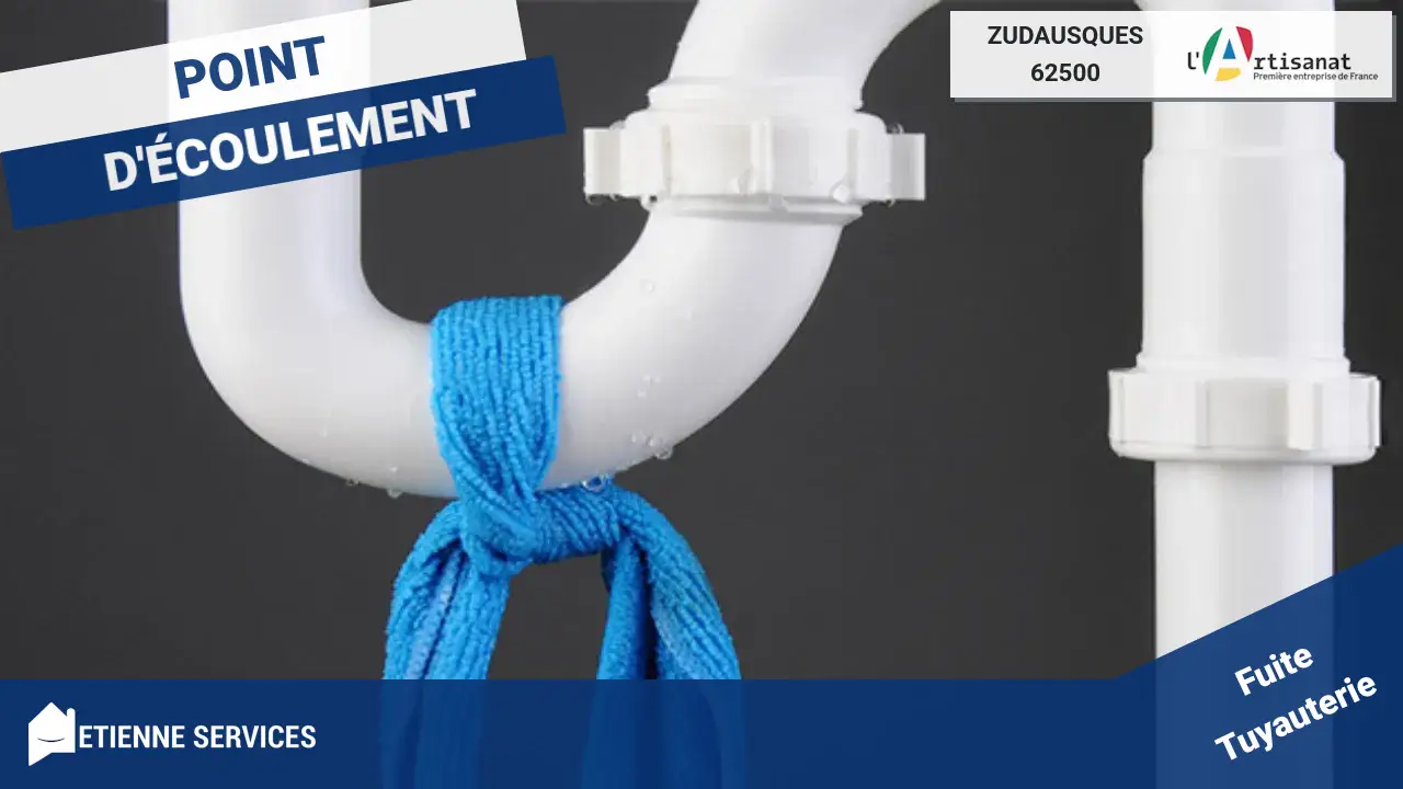 Intervention Rapide par nos Plombiers pour toute Réparation de Fuite d'Eau à Zudausques