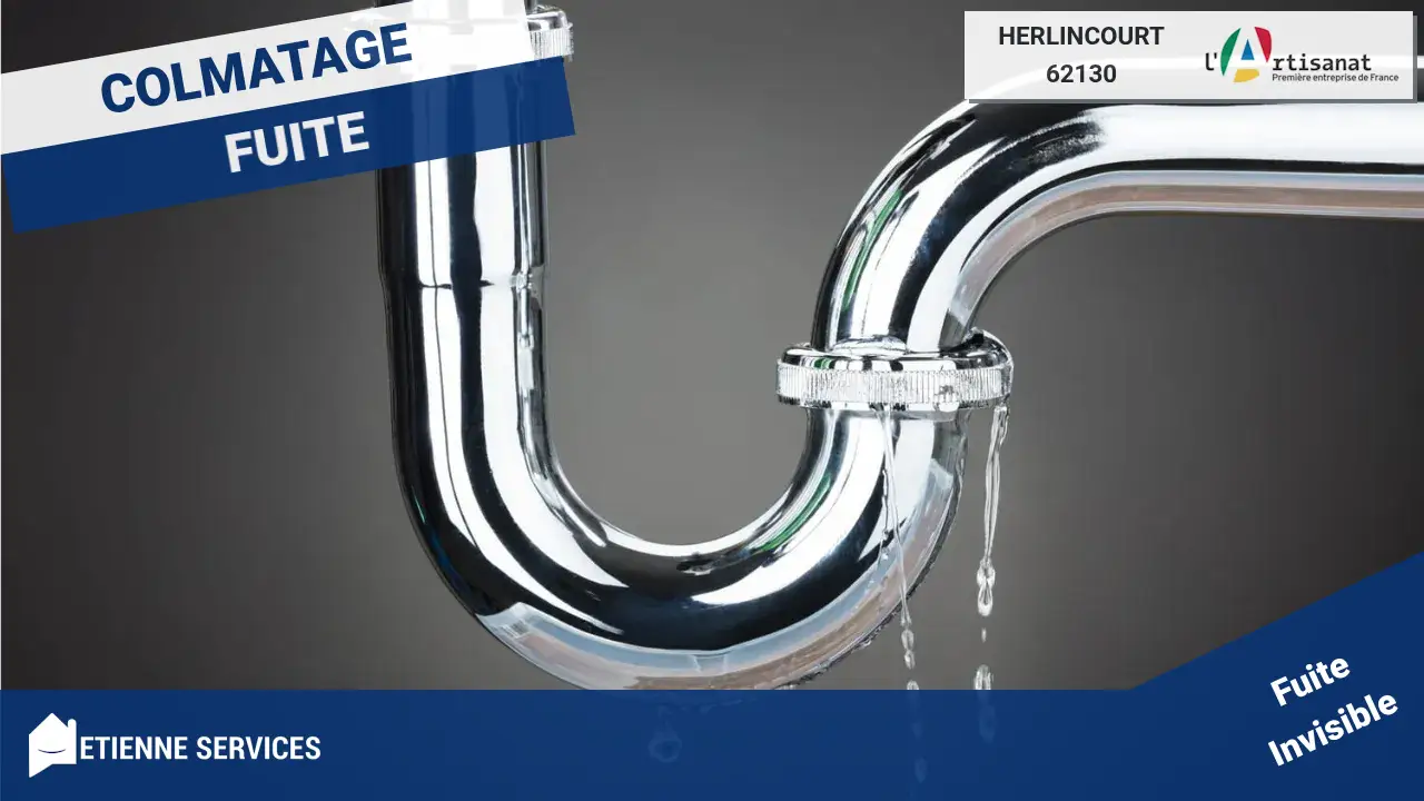 Experts en réparation de fuite d'eau rapide et efficace à Herlincourt