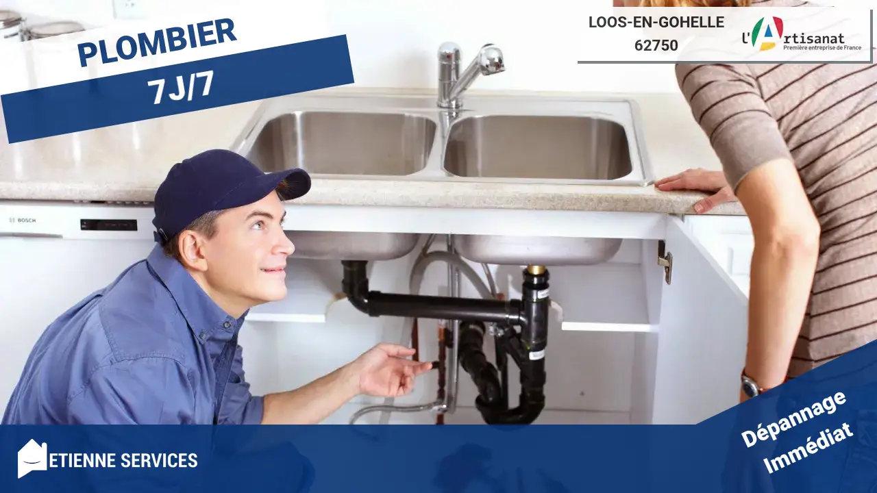 Les Experts du Dépannage et de l'Installation de Plomberie à Loos-en-Gohelle (62750)