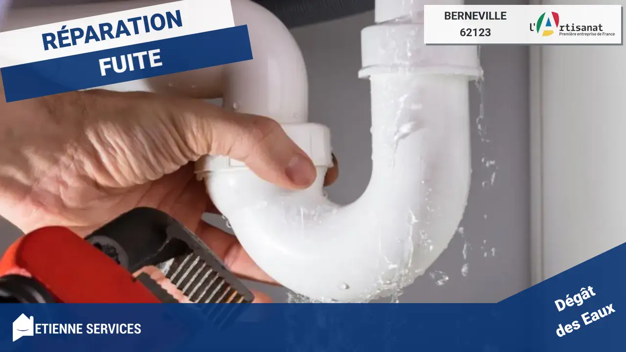 Meilleurs Spécialistes en Réparation de Fuite d'Eau à Berneville