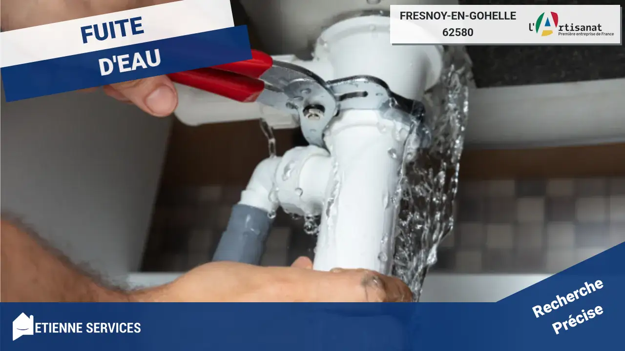 Intervention Rapide par nos Meilleurs Plombiers pour Réparation de Fuite d'Eau à Fresnoy-en-Gohelle