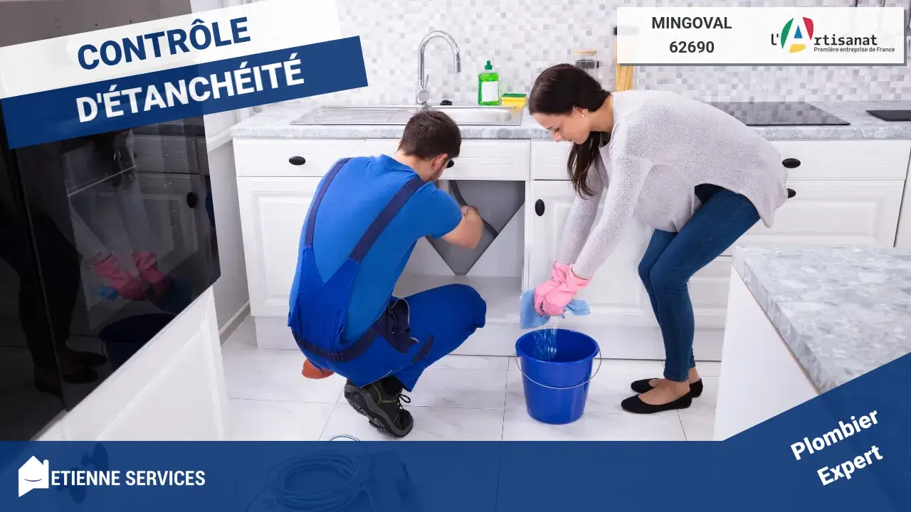 Experts en Réparation de Fuite d'Eau : Intervention Rapide à Mingoval