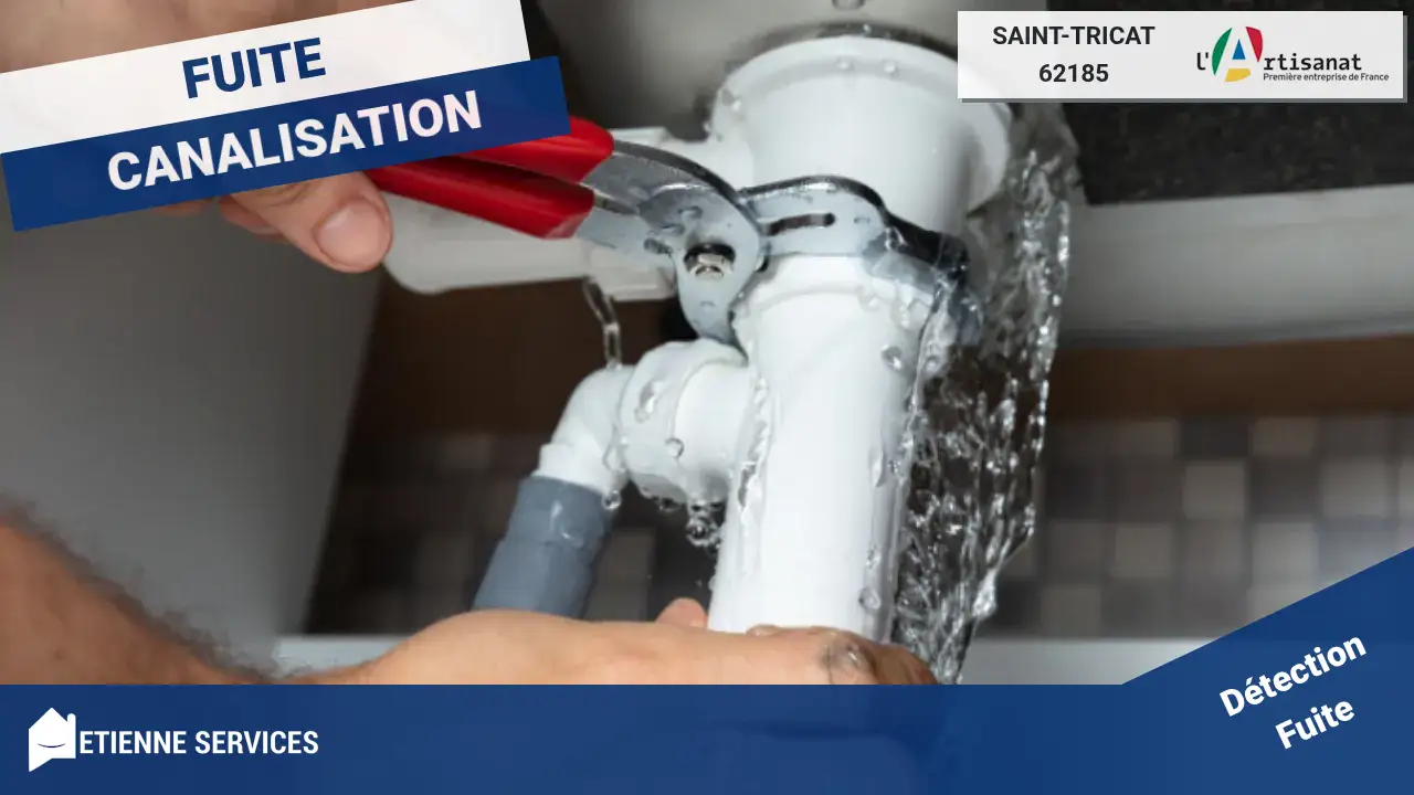 Artisans Spécialistes en Réparation de Fuite d'Eau à Saint-Tricat