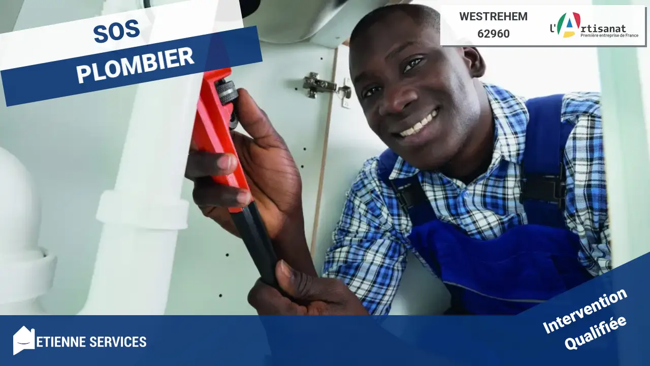 Les Meilleurs Experts en Dépannage et Installation de Plomberie à Westrehem