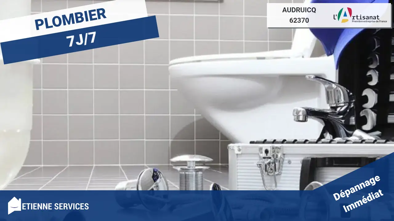 Nos Experts en Dépannage et Installation de Plomberie à Audruicq