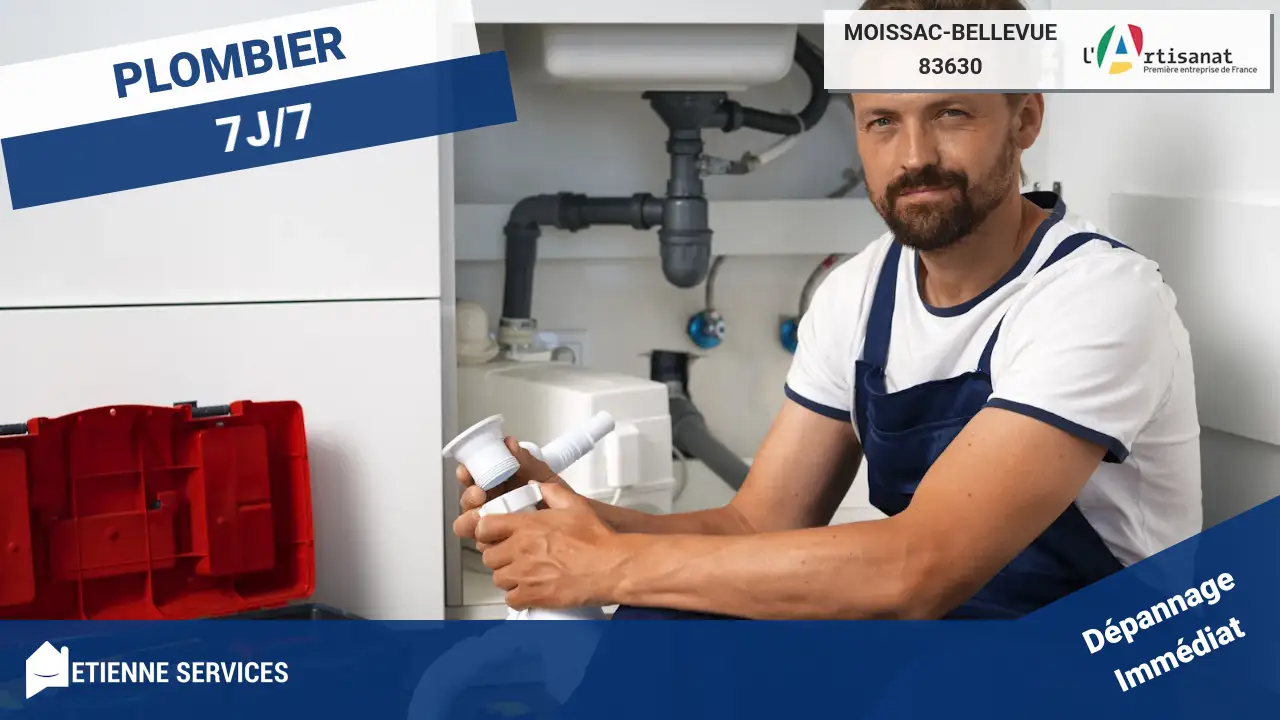 Nos meilleurs artisans pour le dépannage et l'installation de plomberie à Moissac-Bellevue