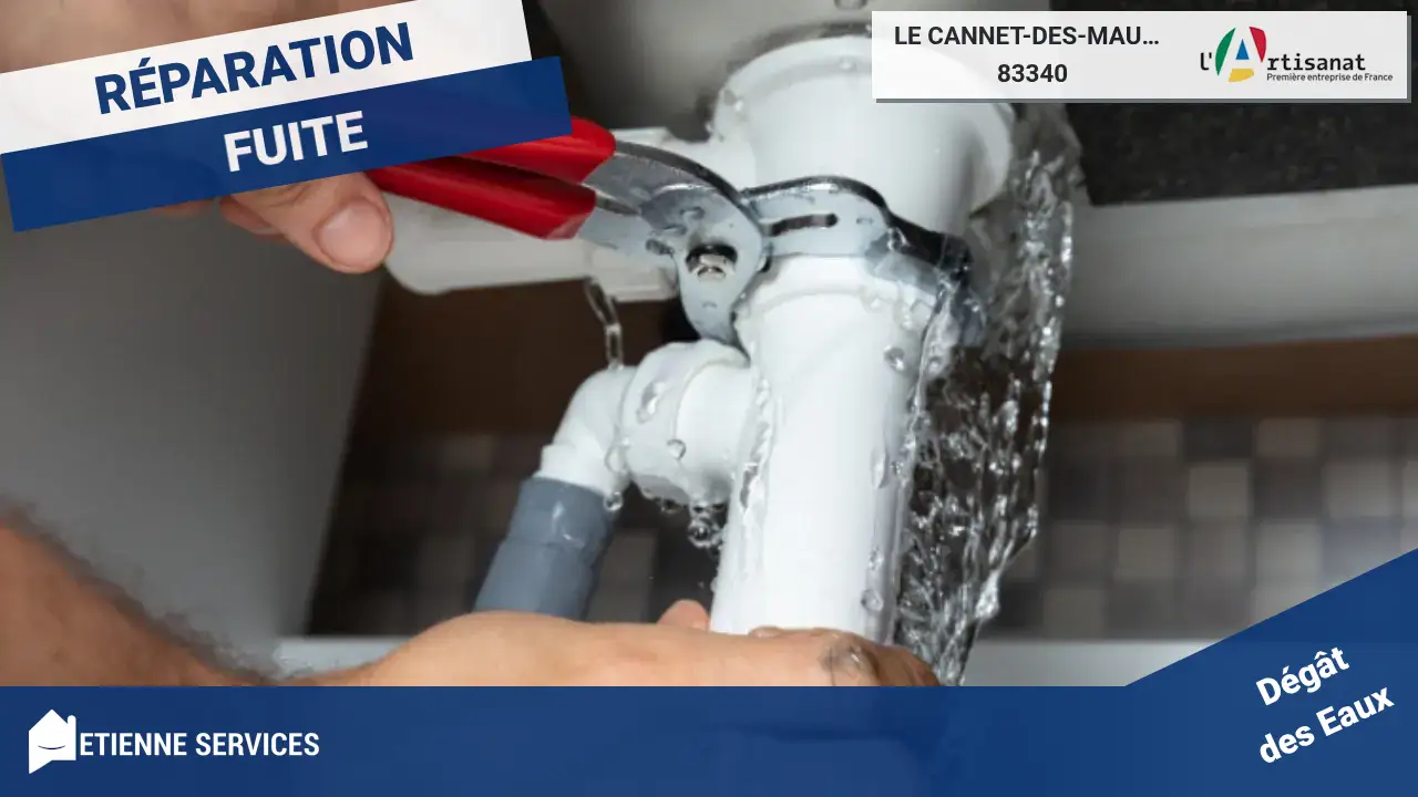 Les spécialistes de la réparation de fuite d'eau au Cannet-des-Maures