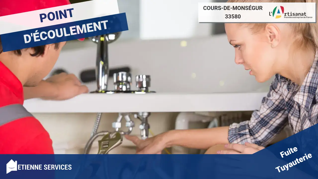 Experts en Réparation de Fuite d'Eau à Cours-de-Monségur (33580)