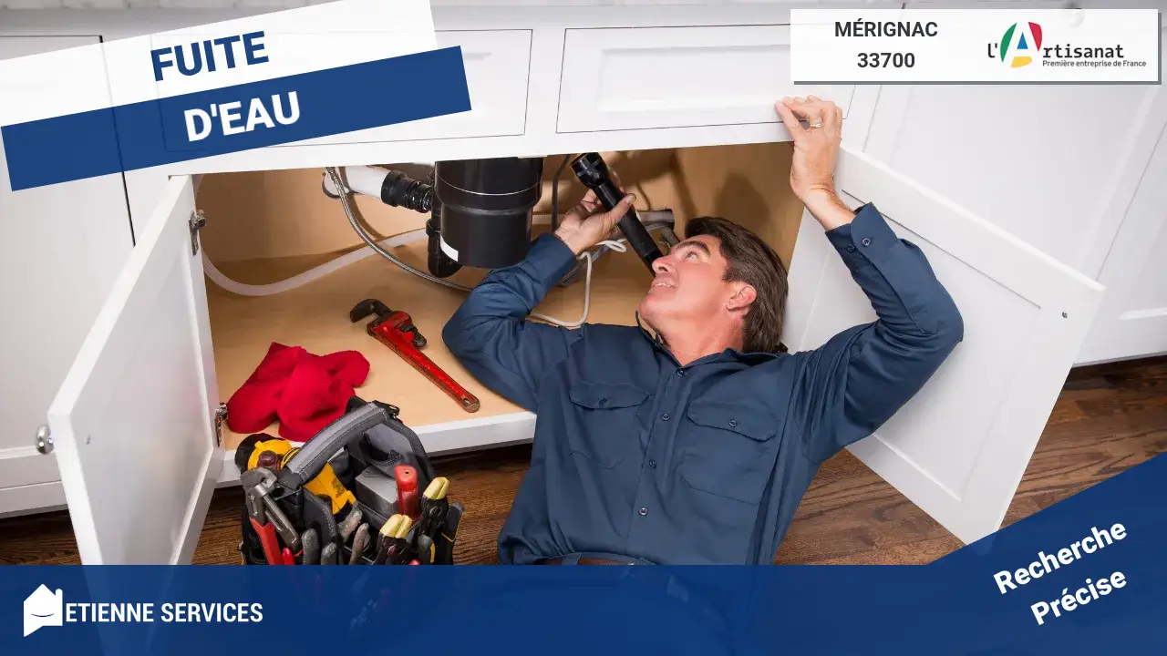 Réparation Rapide de Fuite d'Eau par nos Plombiers Experts à Mérignac