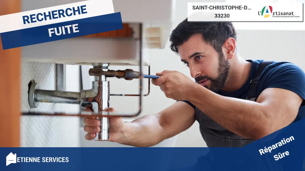 Spécialistes Inégalés de la Réparation de Fuite d'Eau à Saint-Christophe-de-Double
