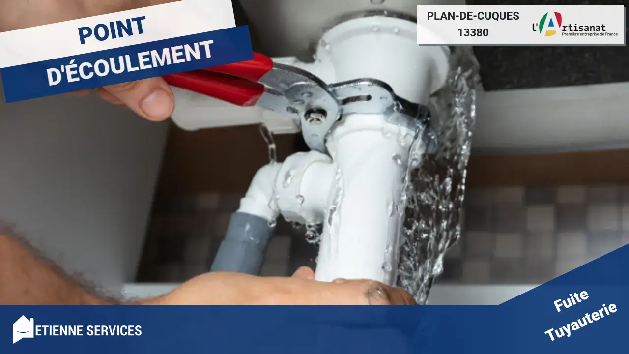 Spécialistes de la Réparation de Fuite d'Eau Rapide à Plan-de-Cuques