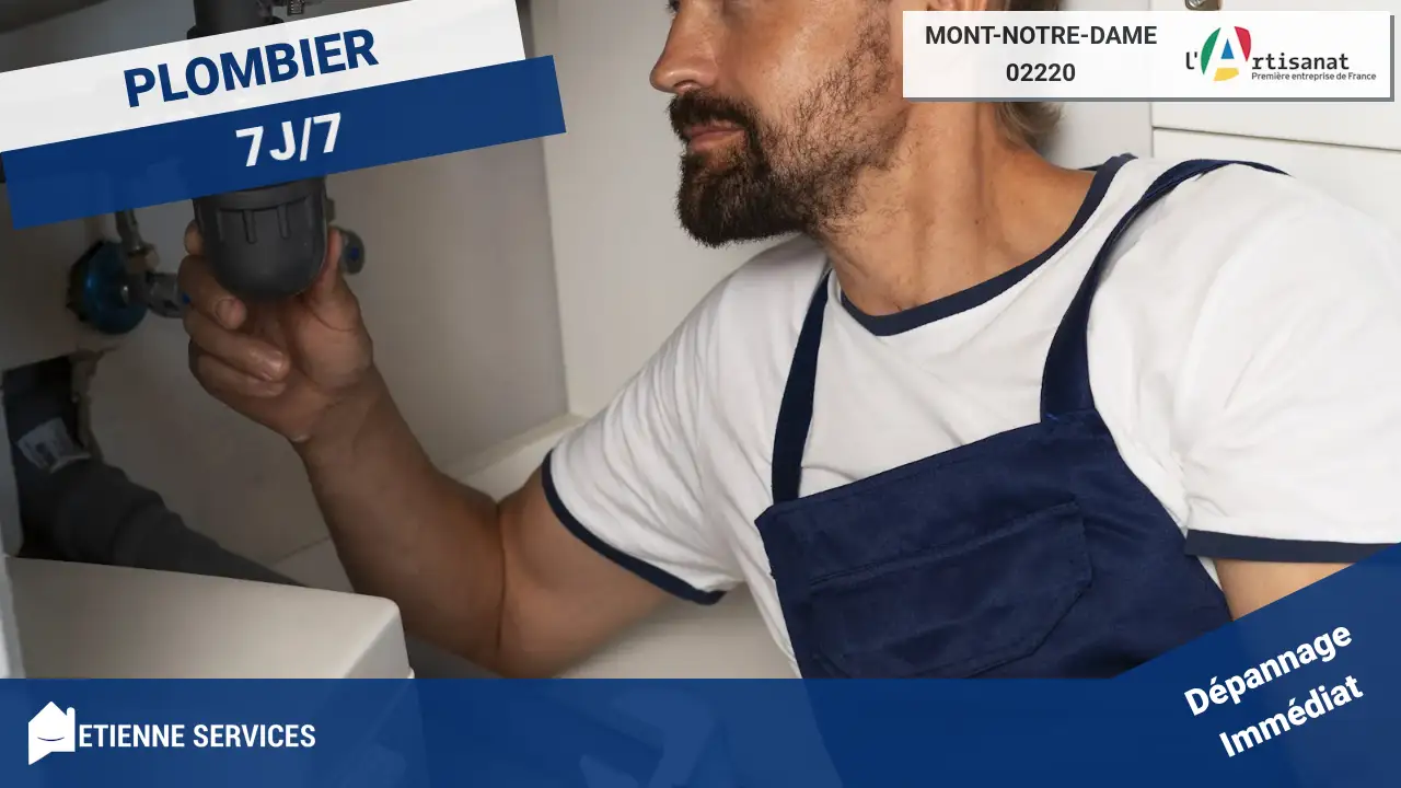 Nos Meilleurs Artisans pour le Dépannage et l'Installation de Plomberie à Mont-Notre-Dame