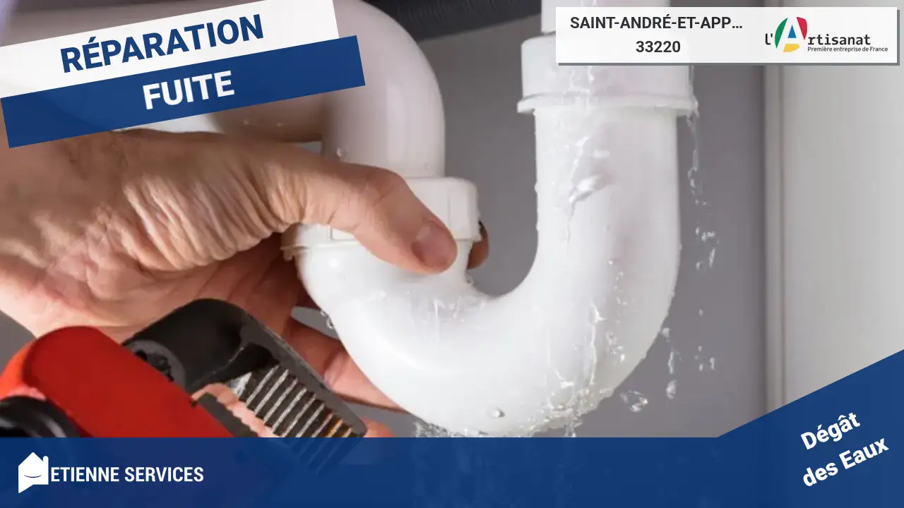 Experts en réparation de fuites d'eau à Saint-André-et-Appelles (33220)