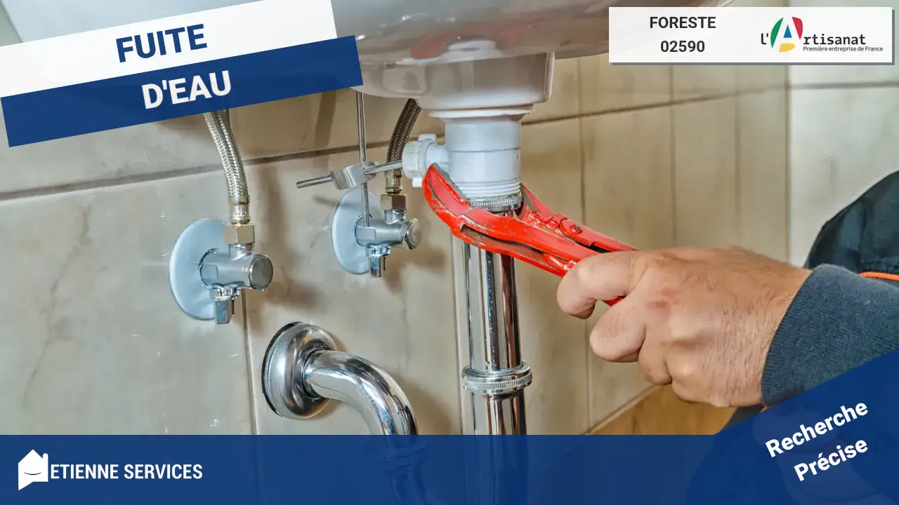 Spécialistes de la réparation de fuite d'eau à Foreste (02590)