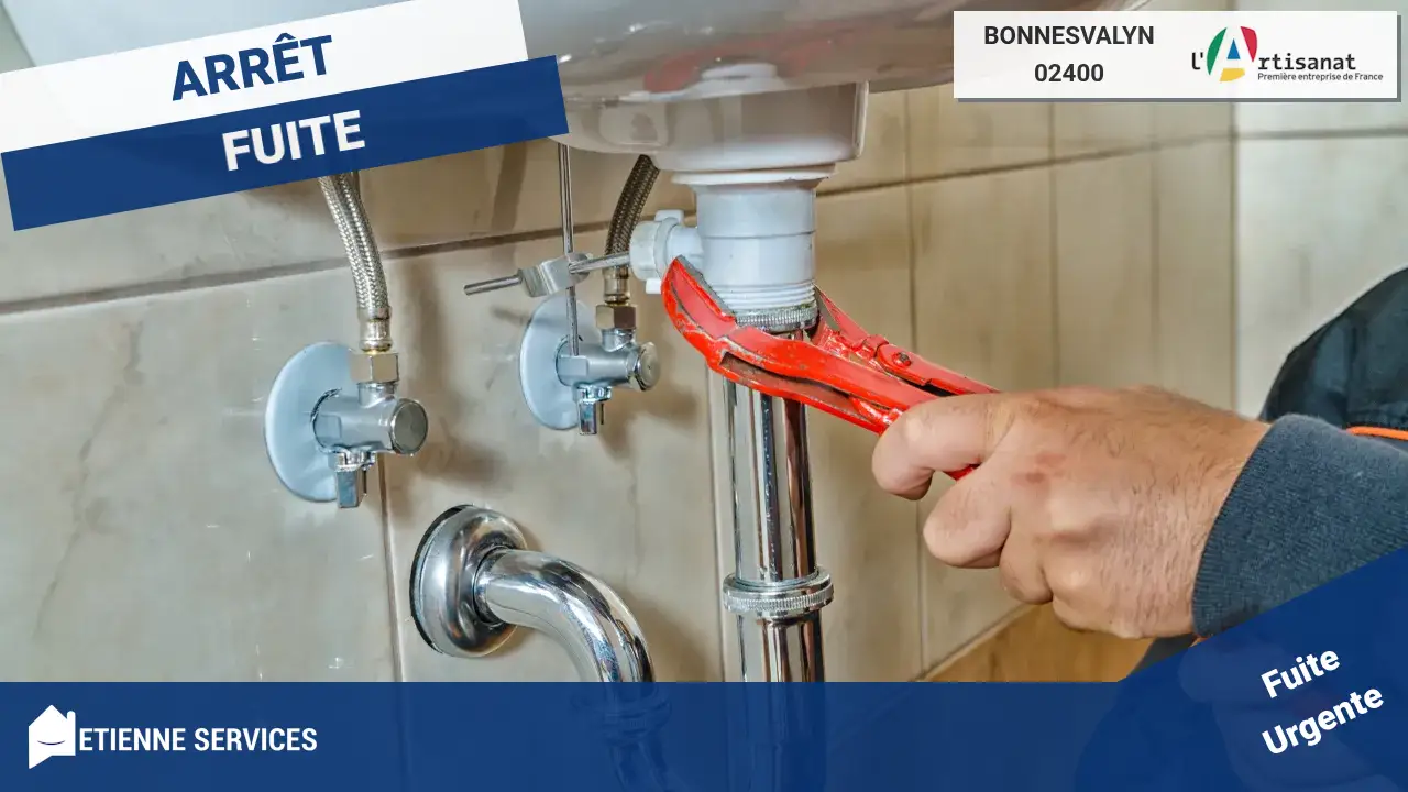 Réparation Rapide de Fuite d'Eau par nos Artisans Qualifiés à Bonnesvalyn