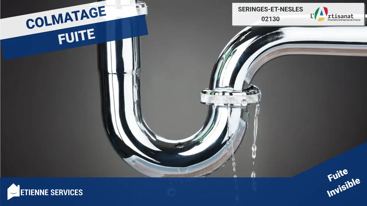 Artisans Experts en Réparation de Fuite d'eau à Seringes-et-Nesles
