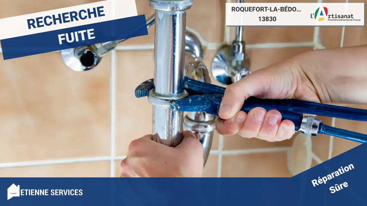 Spécialistes de la Réparation de Fuite d'Eau à Roquefort-la-Bédoule